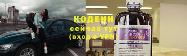прущий лед Елизово