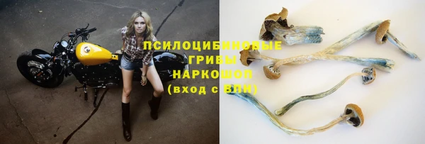 прущий лед Елизово