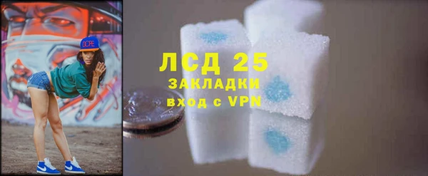 таблы Ельня