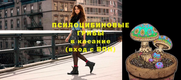 прущий лед Елизово