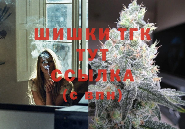 ПСИЛОЦИБИНОВЫЕ ГРИБЫ Елабуга